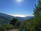 Immerso nella vegetazione mediterranea, terreno di mq. 4.000 con vista panoramica e buona esposizione. Possibilità di c ...